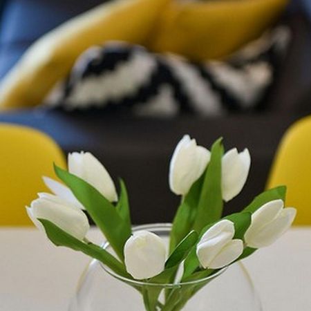 Mediterraneo Garden Apartments Petrčane Habitación foto